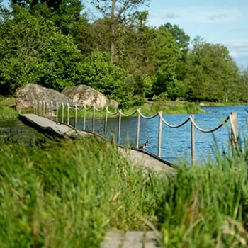 Nature and Silence: The Art of Being Alone with Yourself